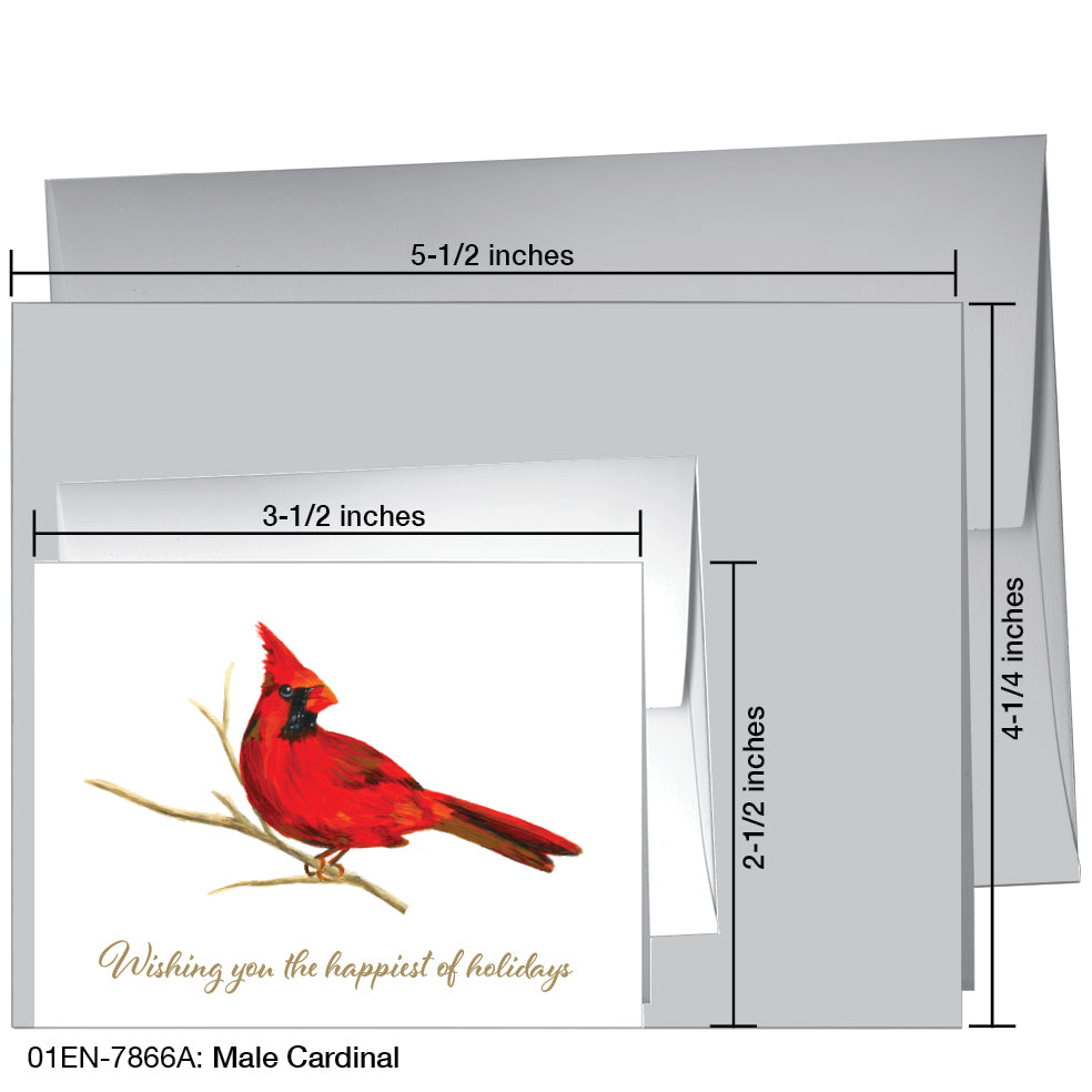 Male Cardinal, Greeting Card (7866A), Enclosure, printedcanvas.com