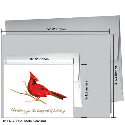 Male Cardinal, Greeting Card (7866A), Enclosure, printedcanvas.com