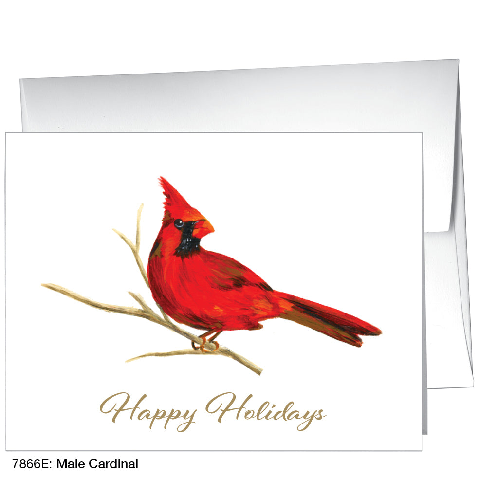 Male Cardinal, Greeting Card (7866E), A2, printedcanvas.com
