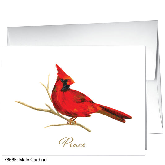 Male Cardinal, Greeting Card (7866F), A2, printedcanvas.com