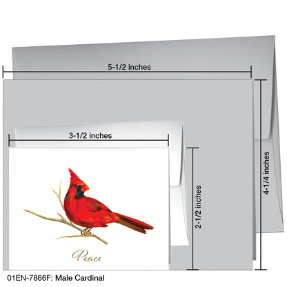 Male Cardinal, Greeting Card (7866F), Enclosure, printedcanvas.com