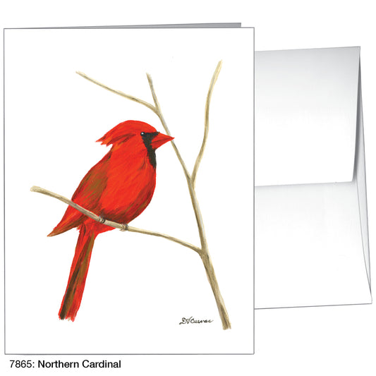 Northern Cardinal, Greeting Card (7865A), A2 Card Front, www.printedcanvas.com