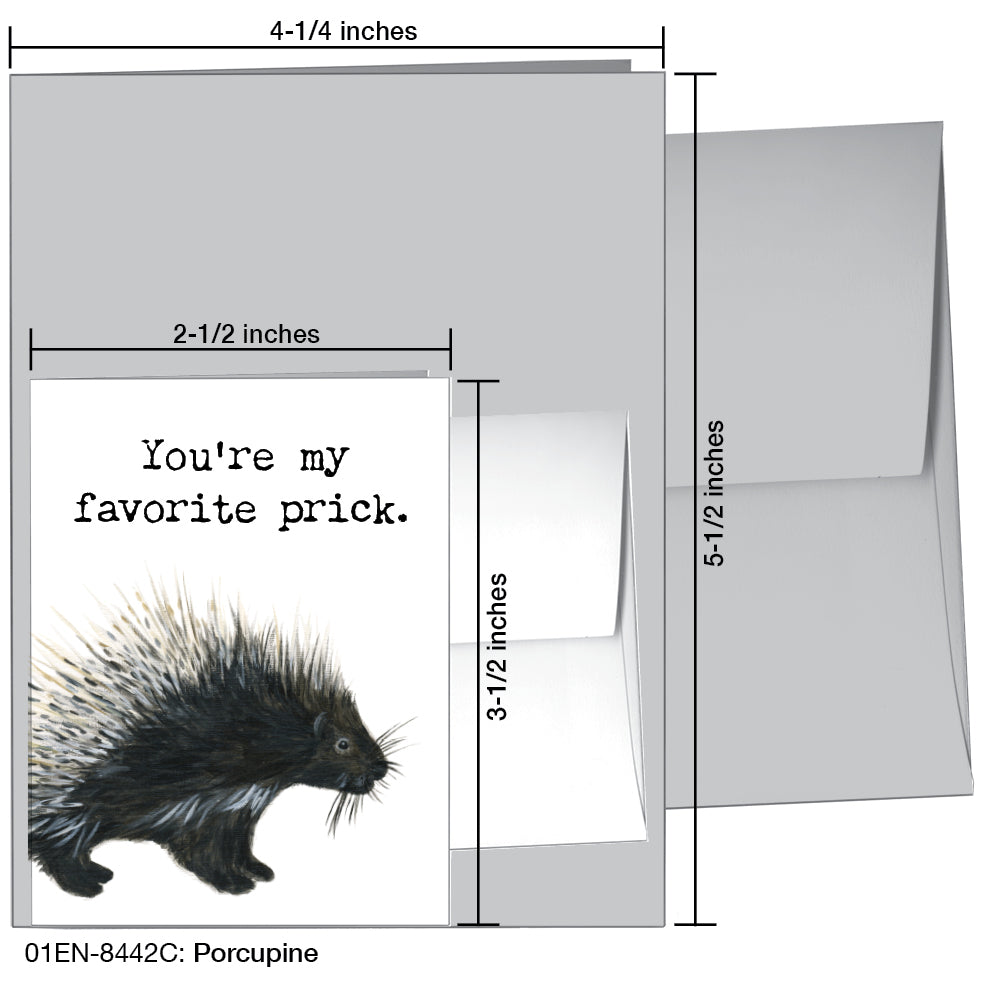 Porcupine, Greeting Card (8442C), Enclosure, printedcanvas.com