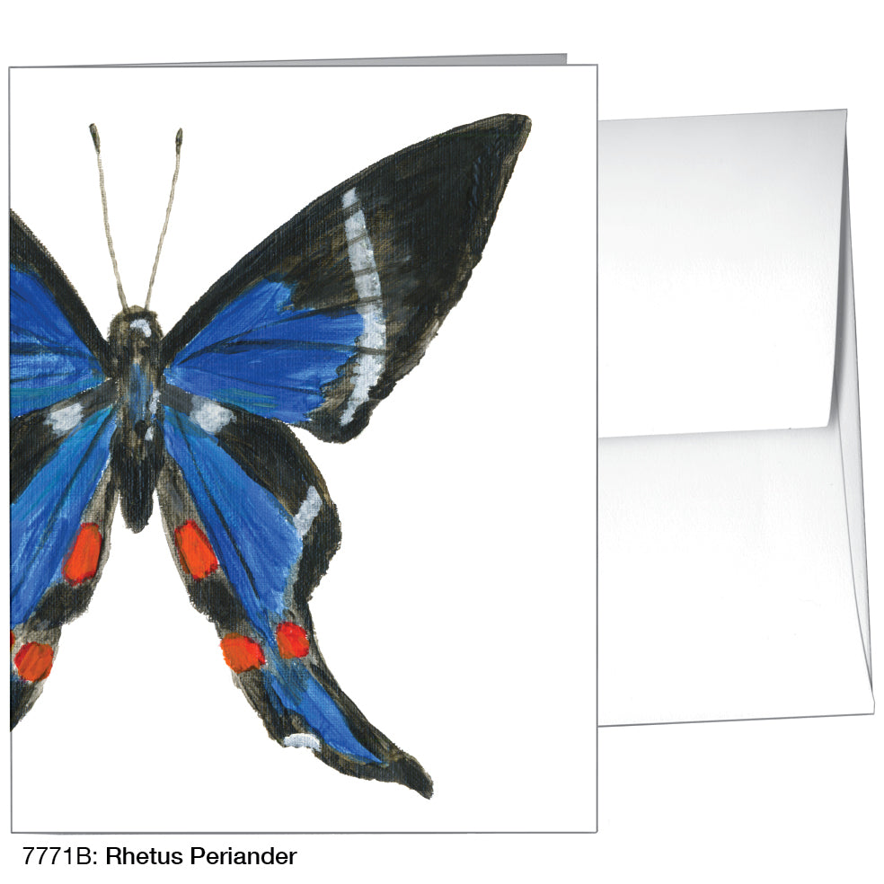 Rhetus Periander, Greeting Card (7771B), A2, printedcanvas.com