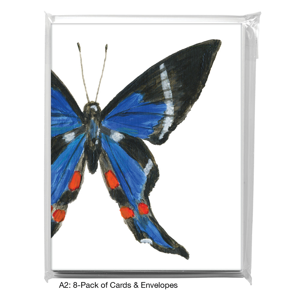 Rhetus Periander, Greeting Card (7771B), A2 8-Pack, printedcanvas.com