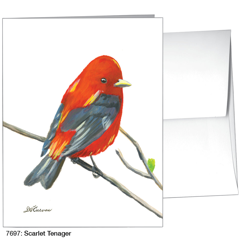 Scarlet Tenager, Greeting Card (7697), A2, printedcanvas.com