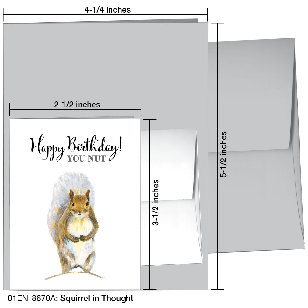 Squirrel in Thought, Greeting Card (8670A), Enclosure, www.printedcanvas.com