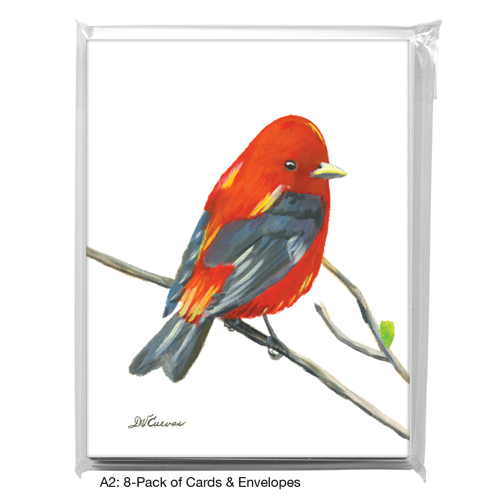Scarlet Tenager, Greeting Card (7697), A2 8-Pack, printedcanvas.com