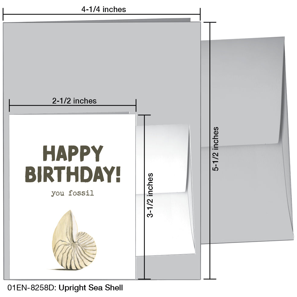 Upright Sea Shell, Greeting Card (8258D), Enclosure, printedcanvas.com