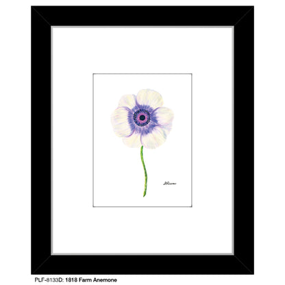 1818 Farm Anemone, Print (#8133D), Print Matted, www.printedcanvas.com