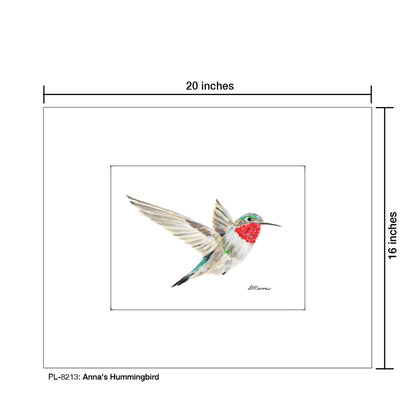 Anna's Hummingbird, Print (#8213) - Printed Canvas