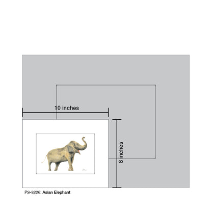 Asian Elephant, Print (#8226) - Printed Canvas