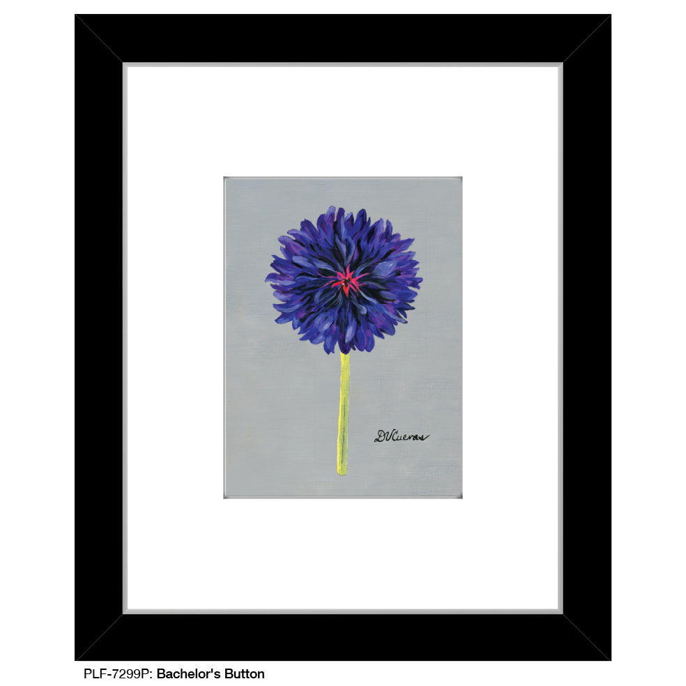 Bachelor's Button, Print (#7299P) - Printed Canvas