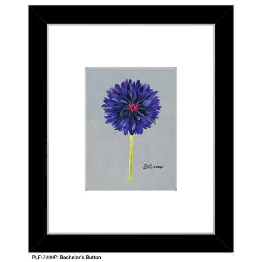 Bachelor's Button, Print (#7299P) - Printed Canvas