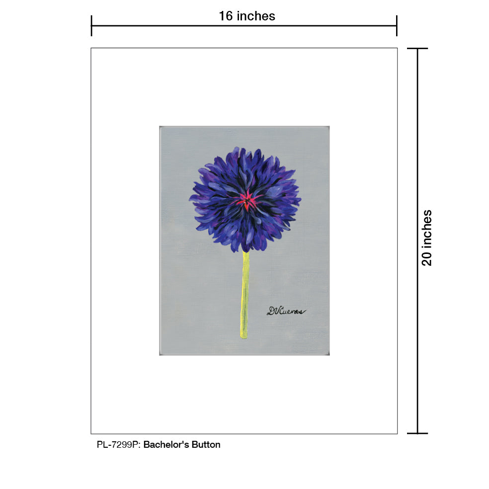 Bachelor's Button, Print (#7299P) - Printed Canvas