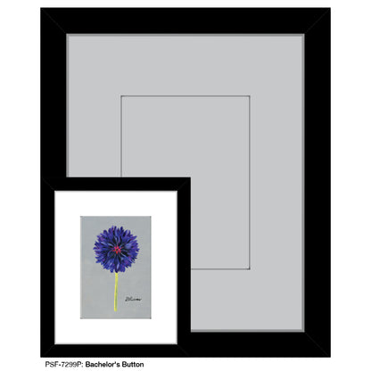 Bachelor's Button, Print (#7299P) - Printed Canvas