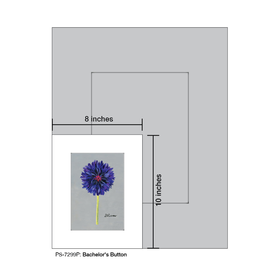Bachelor's Button, Print (#7299P) - Printed Canvas