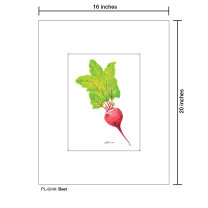 Beet, Print (#8248A), Printe Matted, www.printedcanvas.com