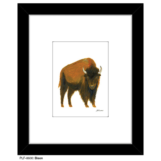 Bison, Print (#8600) - Printed Canvas