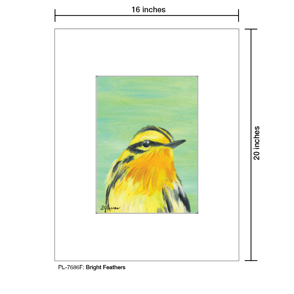 Bright Feathers, Print (#7686F), Printe Matted, www.printedcanvas.com