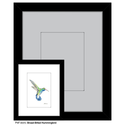 Broad-Billed Hummingbird, Print (#8225G), Print Matted, www.printedcanvas.com