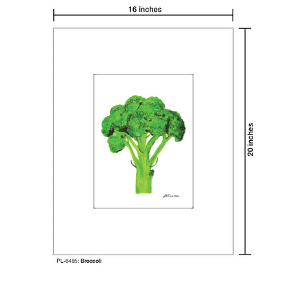 Broccoli, Print (#8485) - Printed Canvas