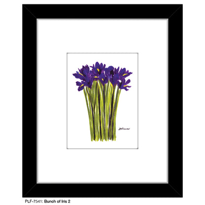 Bunch of Iris 2, Print (#7541A), Print Matted, www.printedcanvas.com