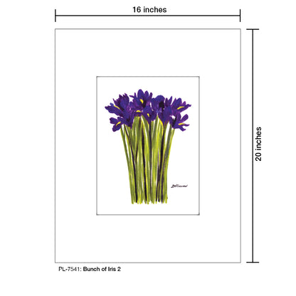 Bunch of Iris 2, Print (#7541A), Printe Matted, www.printedcanvas.com