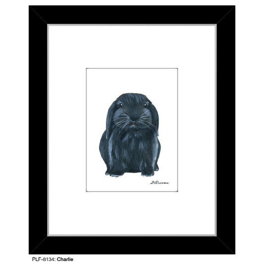Charlie, Print (#8134) - Printed Canvas