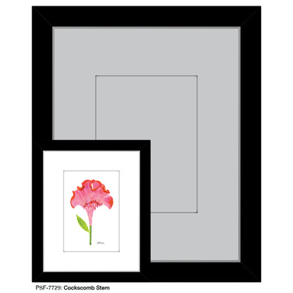 Cockscomb Stem, Print (#7729) - Printed Canvas