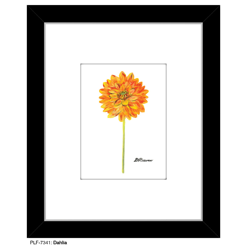 Dahlia, Print (#7341) - Printed Canvas