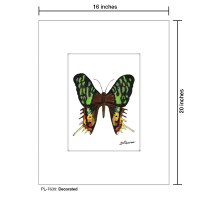 Decorated, Print (#7639B), Printe Matted, www.printedcanvas.com