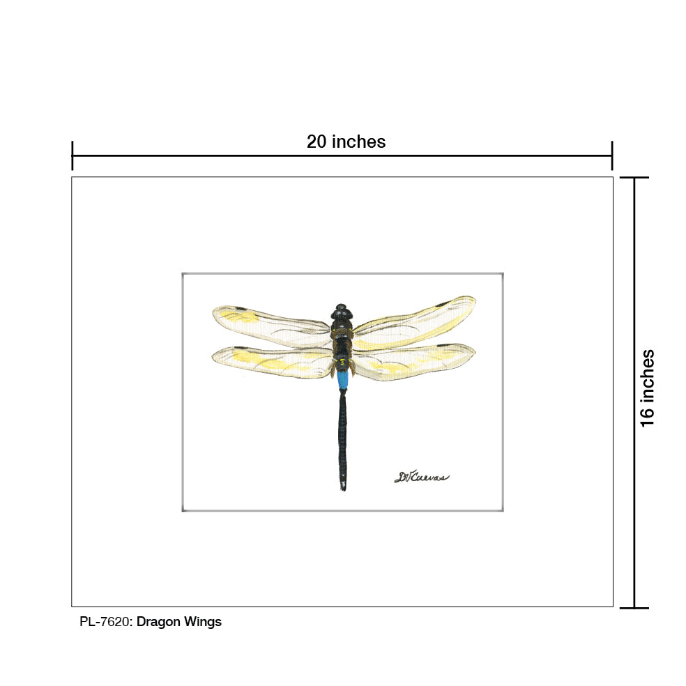 Dragon Wings, Print (#7620C), Printe Matted, www.printedcanvas.com