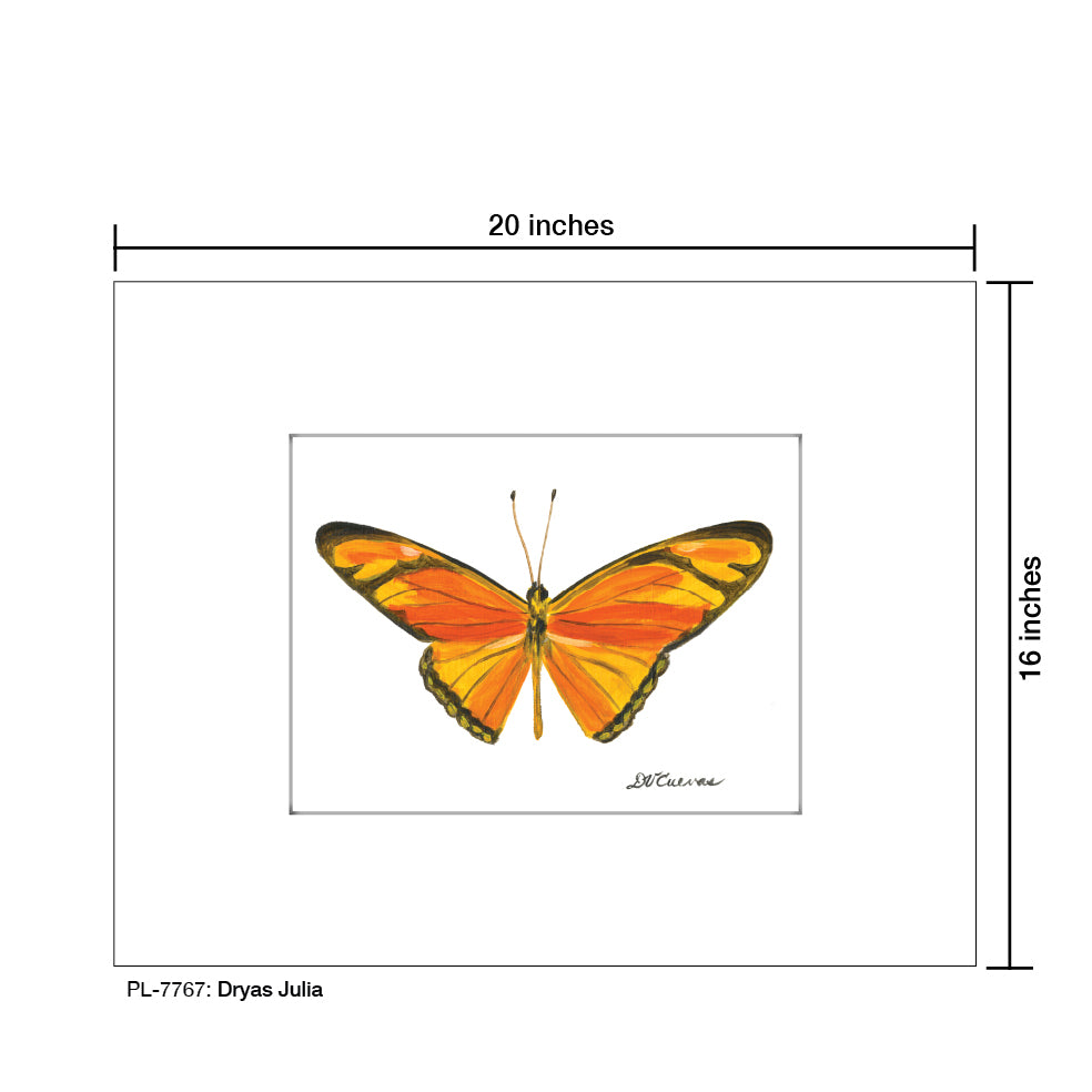 Dryas Julia, Print (#7767) - Printed Canvas