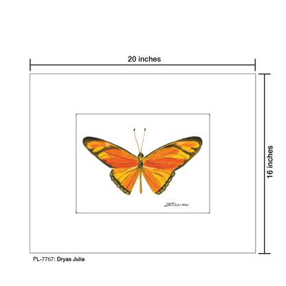 Dryas Julia, Print (#7767) - Printed Canvas