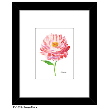 Garden Peony, Print (#8342B), Print Matted, www.printedcanvas.com