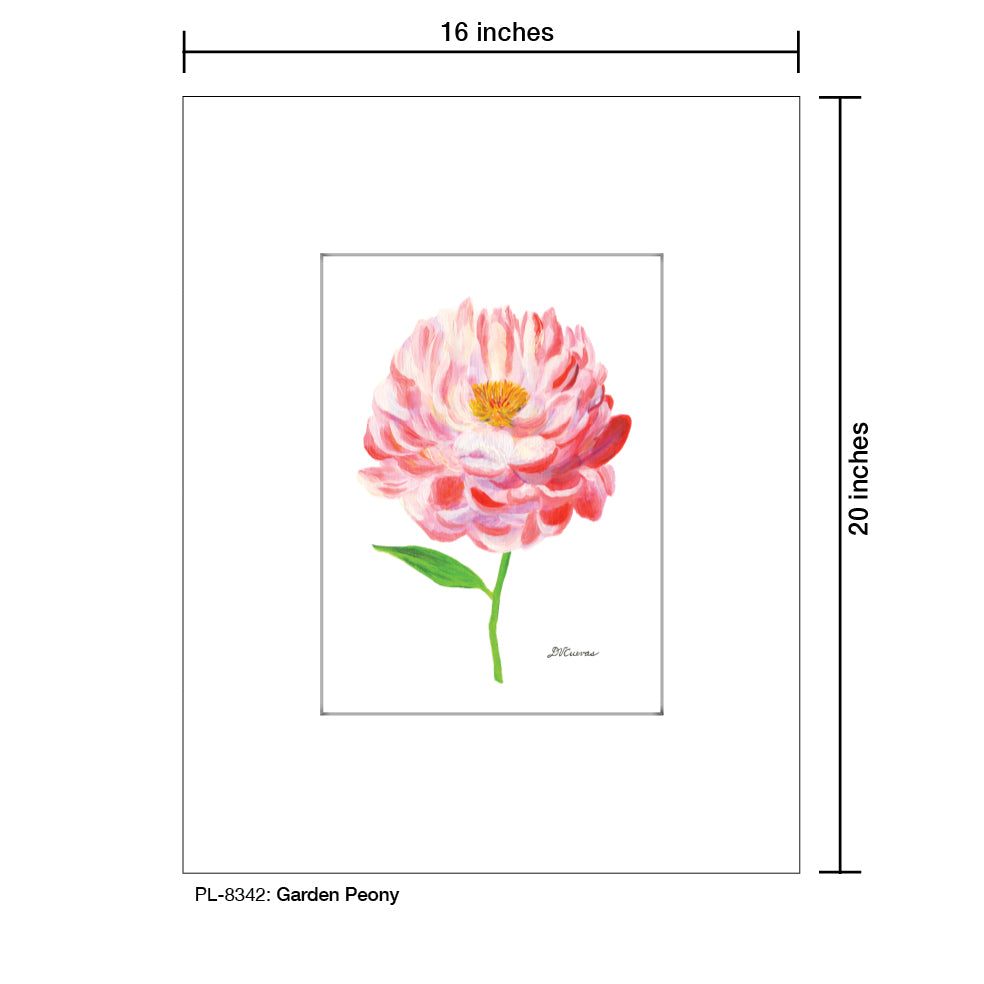 Garden Peony, Print (#8342B), Printe Matted, www.printedcanvas.com