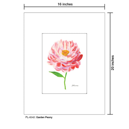Garden Peony, Print (#8342B), Printe Matted, www.printedcanvas.com