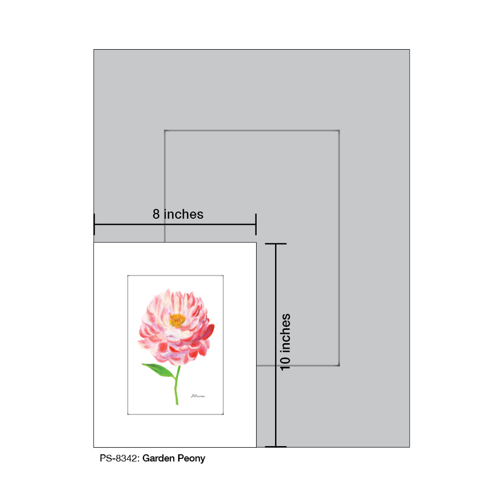 Garden Peony, Print (#8342B), Print Matted, www.printedcanvas.com