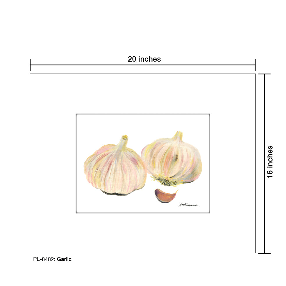 Garlic, Print (#8482A), Printe Matted, www.printedcanvas.com