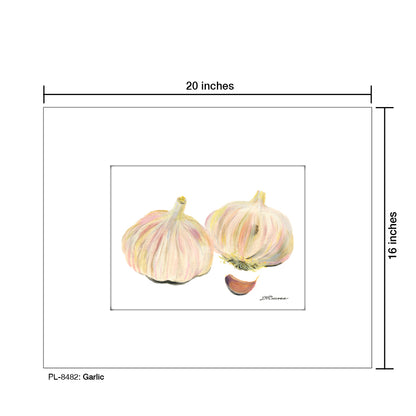 Garlic, Print (#8482A), Printe Matted, www.printedcanvas.com