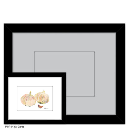 Garlic, Print (#8482A), Print Matted, www.printedcanvas.com