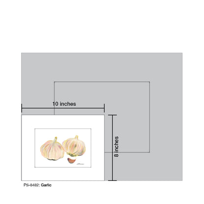 Garlic, Print (#8482A), Print Matted, www.printedcanvas.com