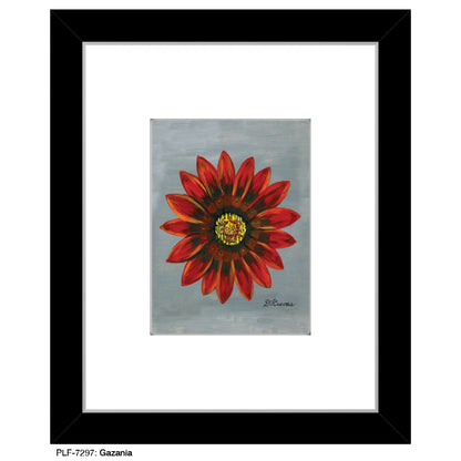 Gazania, Print (#7297) - Printed Canvas