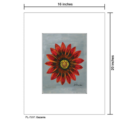 Gazania, Print (#7297) - Printed Canvas