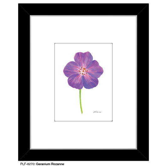 Geranium Rozanne, Print (#8270) - Printed Canvas