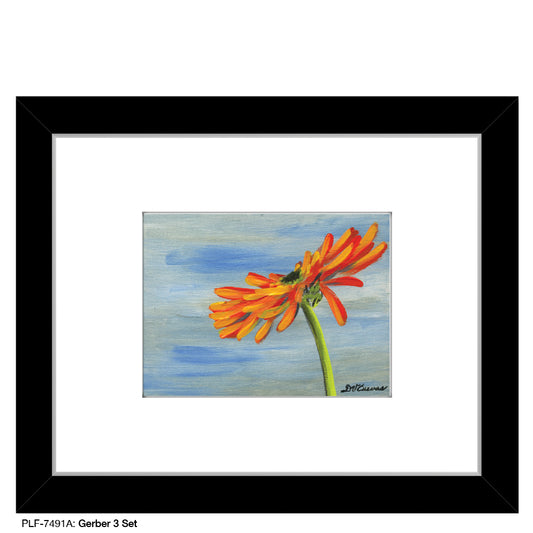 Gerber 3 Set, Print (#7491A) - Printed Canvas