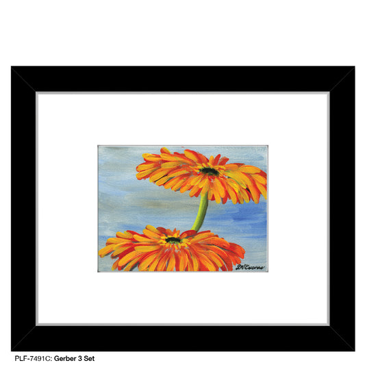 Gerber 3 Set, Print (#7491C) - Printed Canvas