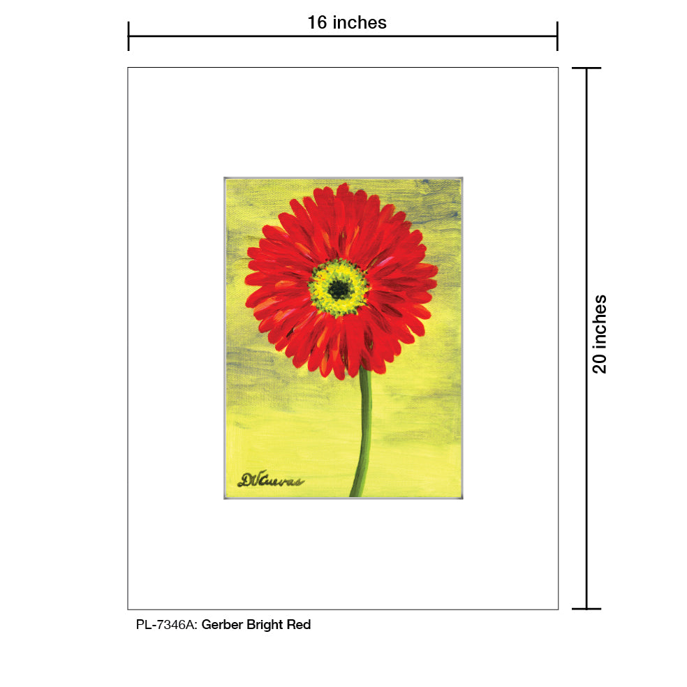 Gerber Bright Red 1, Print (#7346A) - Printed Canvas