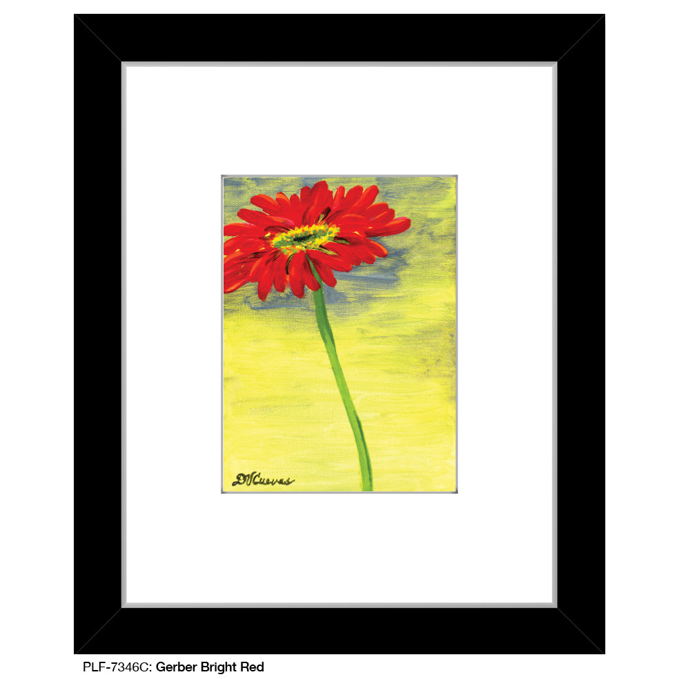 Gerber Bright Red 3, Print (#7346C) - Printed Canvas